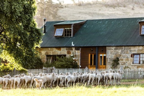 Daisy Bank Cottages - Holiday Adelaide 0