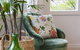 Beechmont Garden Retreat - thumb 2