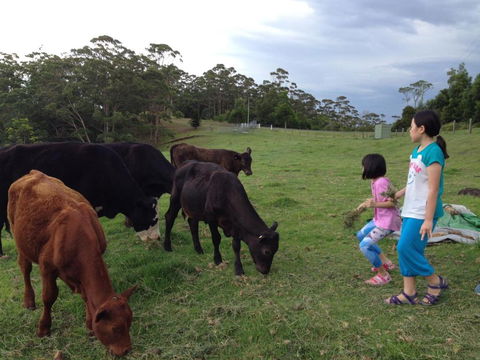 Bellview - Holiday Adelaide 1