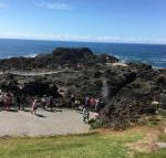 Sea Whispers - Holiday Adelaide