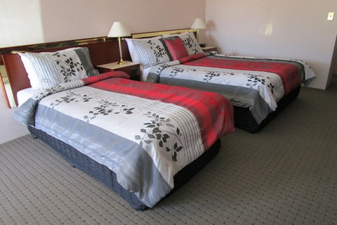 Southern Comfort Motor Inn - Holiday Adelaide 6