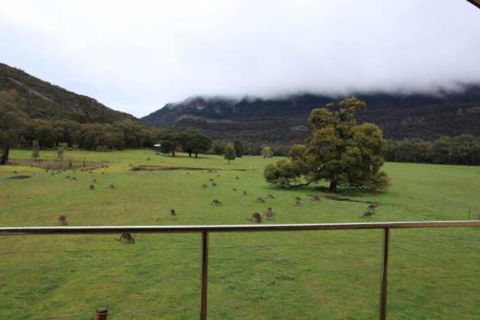 Five Clematis Views - Holiday Adelaide 3