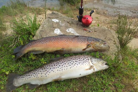 Eildon Pondage Holiday Park - Holiday Adelaide 4