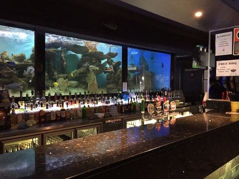 Harp Hotel - Holiday Adelaide 4