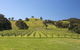 Blue House At Mountainside Wines - thumb 1