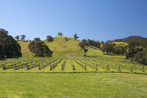 Blue House At Mountainside Wines - Holiday Adelaide 1