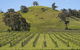 Blue House At Mountainside Wines - thumb 0