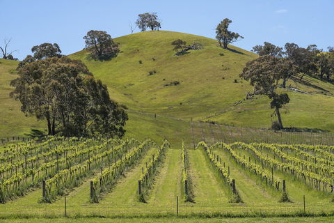 Blue House At Mountainside Wines - Holiday Adelaide 0