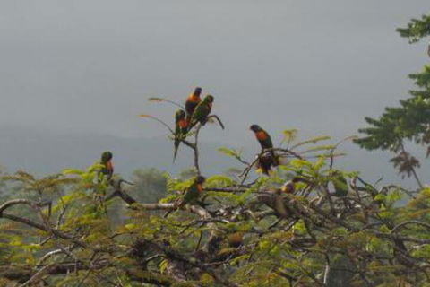 Babinda Quarters - Holiday Adelaide 4