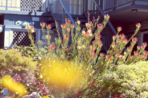 The Sands Holiday Apartments - Holiday Adelaide 4
