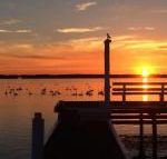 Bayview Boathouse - Holiday Adelaide
