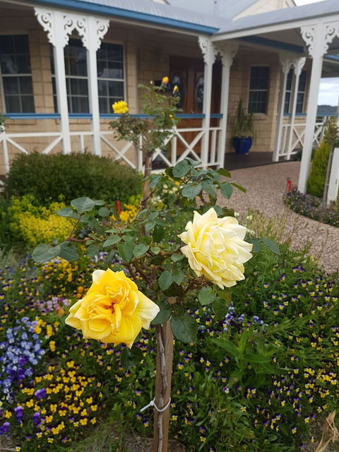 Grovely House Bed & Breakfast - Holiday Adelaide 3
