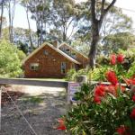 Dalmeny NSW Holiday Adelaide