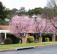 White Lanterns Motel - Holiday Adelaide