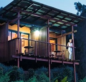 O'Reilly's Rainforest Guesthouse - Holiday Adelaide 1