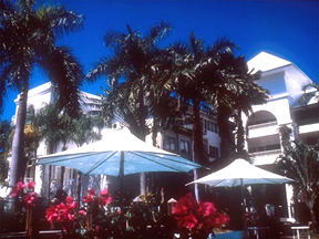 Alamanda Palm Cove - Holiday Adelaide 1