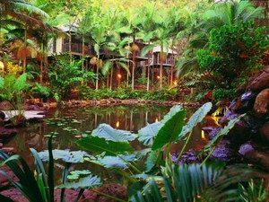 Daintree Eco Lodge & Spa - Holiday Adelaide 0