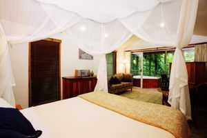 Daintree Eco Lodge & Spa - Holiday Adelaide 1