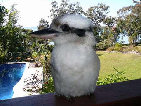 Yarrandabbi Dreaming Boutique B&B - Holiday Adelaide 2