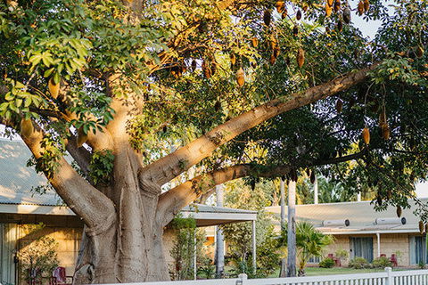 Kimberley Grande Resort & Conf Ctr - Holiday Adelaide 0