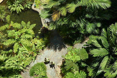 DoubleTree by Hilton Cairns - Holiday Adelaide 2