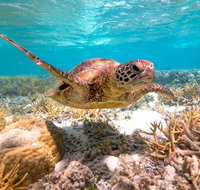 Heron Island Resort - Holiday Adelaide