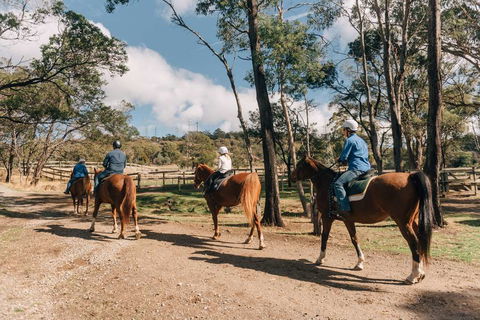 Country Club Tasmania - Holiday Adelaide 0