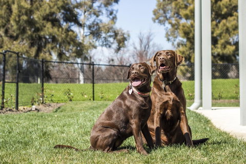 Abode Narrabundah - Holiday Adelaide 21