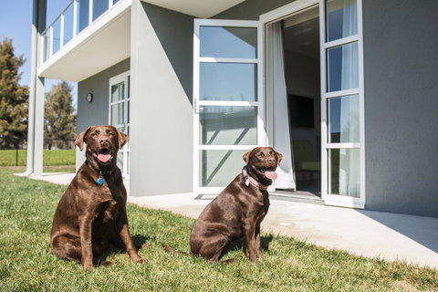 Abode Narrabundah - Holiday Adelaide 20