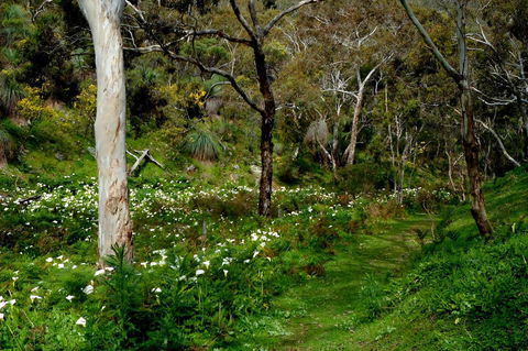 Lure Bed And Breakfast - Holiday Adelaide 17