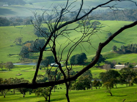 Lure Bed And Breakfast - Holiday Adelaide 21