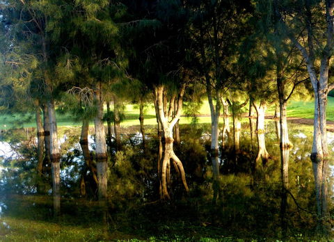 Lure Bed And Breakfast - Holiday Adelaide 18