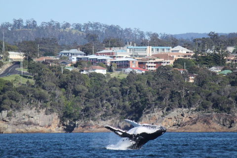 Heritage House Motel & Units - Holiday Adelaide 27