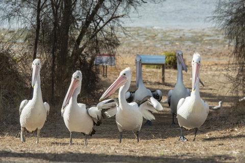 Mercure Kangaroo Island Lodge - Holiday Adelaide 15