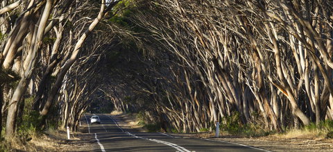 Mercure Kangaroo Island Lodge - Holiday Adelaide 40