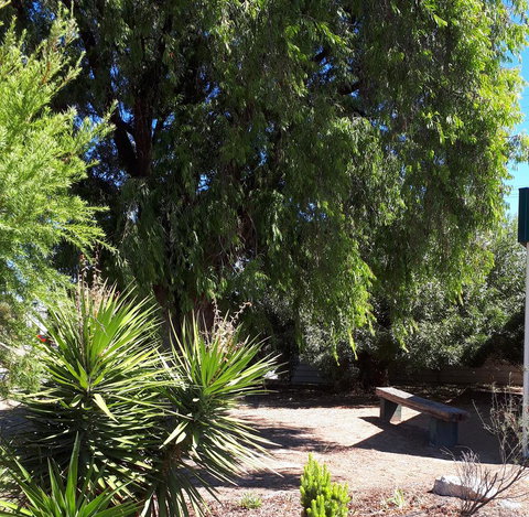 Bordertown Motel - Holiday Adelaide 4