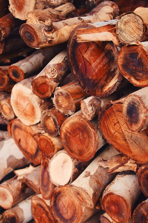 Lost In The Vines - Holiday Adelaide 20