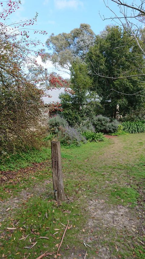 Lost In The Vines - Holiday Adelaide 21