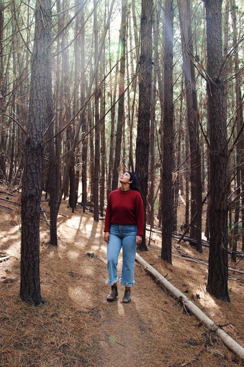 Lost In The Vines - Holiday Adelaide 19