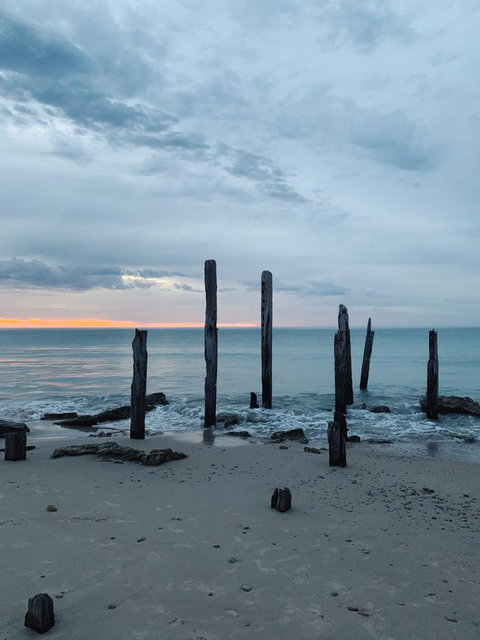 Lost In The Vines - Holiday Adelaide 18