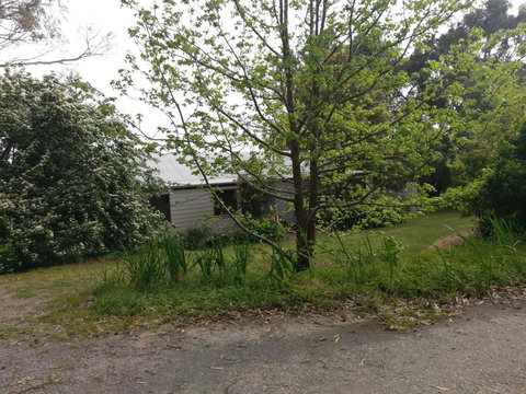 Lost In The Vines - Holiday Adelaide 24