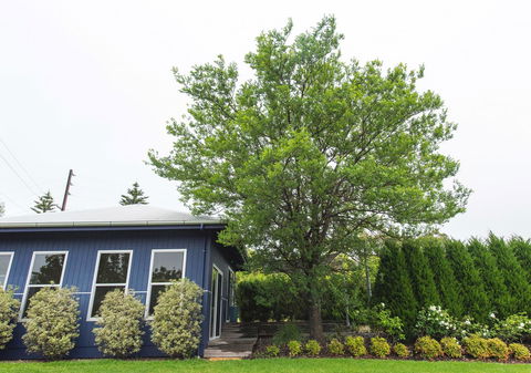 S T U D I O 22 Peaceful Retreat With Garden Views - Holiday Adelaide 11