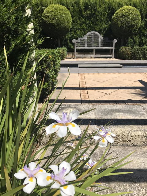S T U D I O 22 Peaceful Retreat With Garden Views - Holiday Adelaide 13