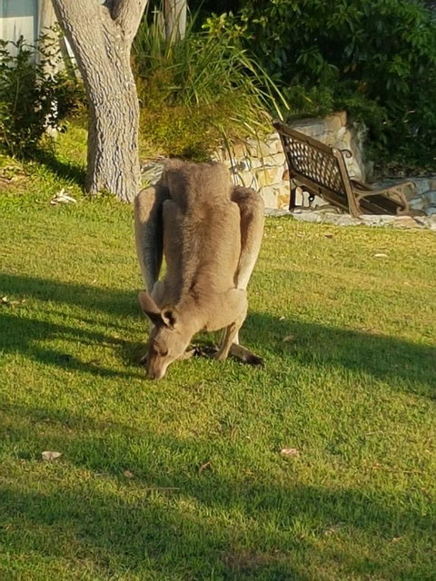 \'Point Break\' Your Waterfront Break At The Point - Holiday Adelaide 12