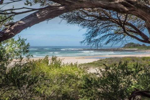 BIG4 Tasman Holiday Parks - Racecourse Beach - Holiday Adelaide 7