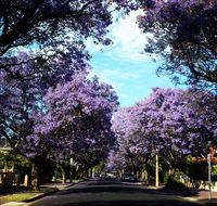 Monaco Court Apartment Adelaide