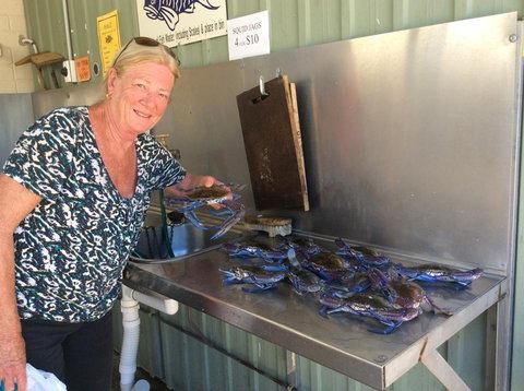 Ceduna Foreshore Caravan Park - Holiday Adelaide 28