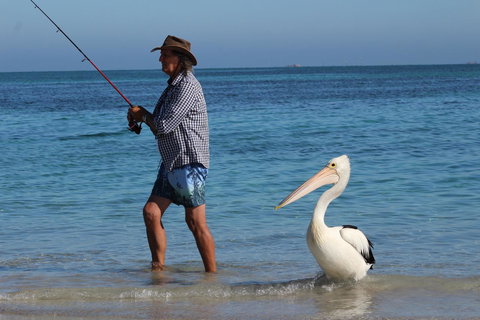 Ceduna Foreshore Caravan Park - Holiday Adelaide 21