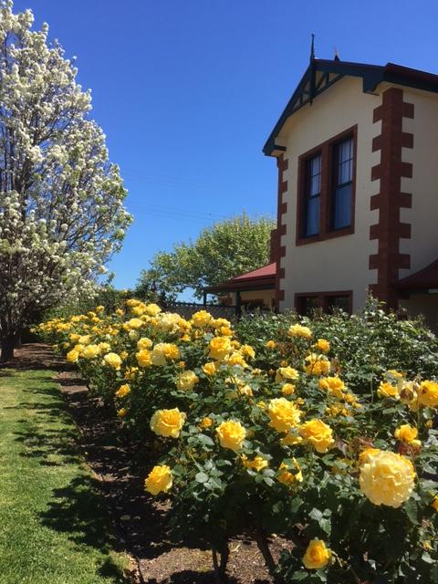 Wine And Roses Bed And Breakfast - Holiday Adelaide 5