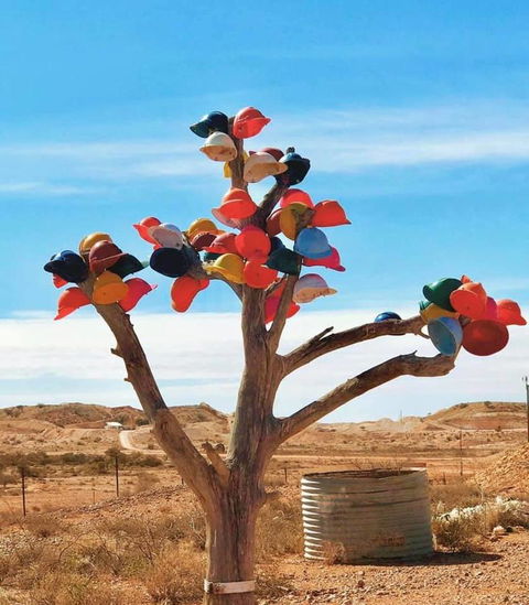 Aussie Opal Diggers Outback Retreat-Undergound - Holiday Adelaide 29